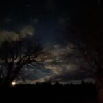 Megan Follows Instagram - Night sky. The stars were bright as the moon rose through the old maples. #moonrise #maple #coldnights #stars