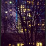 Megan Follows Instagram - City trees at dusk #trees #lights #concrete #urbantree