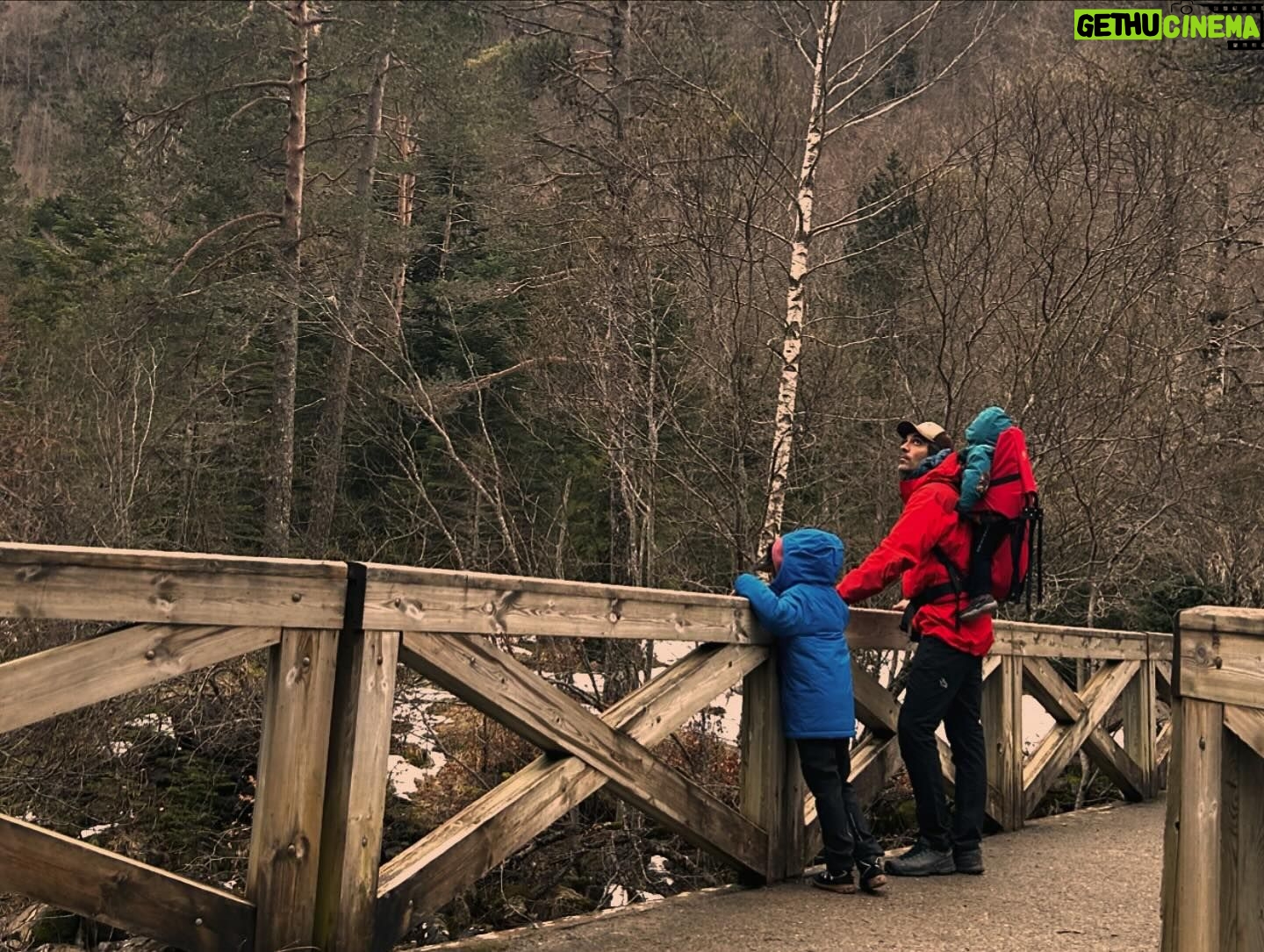 Megan Montaner - 12.1K Likes - #familytrip @jeep @jeep_es 🚙🌲⛰️
#aventuras #naturaleza