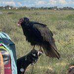 Megan Suri Instagram - Turns out being a goth girl in the middle of New Mexico is actually the most fun I’ve ever had. @peacock #PokerFacePeacock