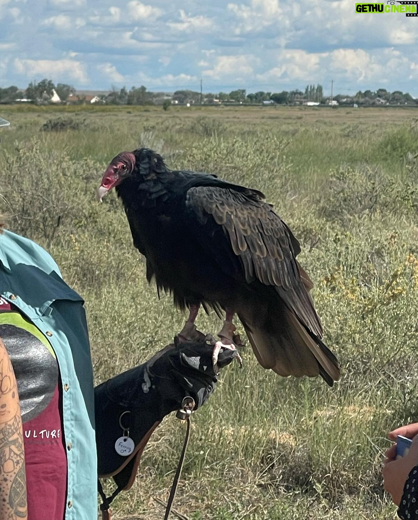 Megan Suri - 37.8K Likes - Turns out being a goth girl in the middle of New Mexico is actually the most fun I’ve ever had. @peacock #PokerFacePeacock