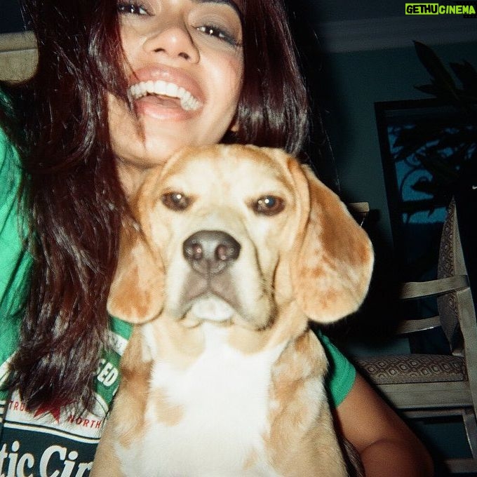 Megan Suri - 31K Likes - Happy 1st birthday to my beagle boy from hell