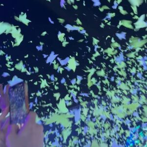 Megha Chowdhury Instagram - Living one dream at a time 

#coldplay 💫
