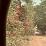 Megha Chowdhury Instagram - Every hue tells a story!