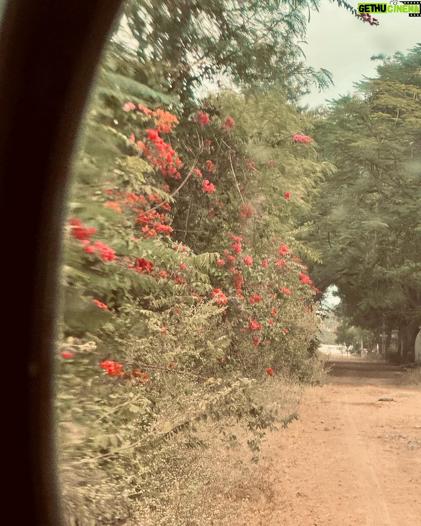 Megha Chowdhury Instagram - Every hue tells a story!