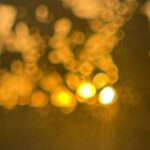 Megha Chowdhury Instagram - Every hue tells a story!