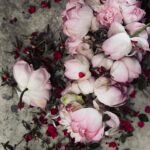 Megha Chowdhury Instagram - 🥀