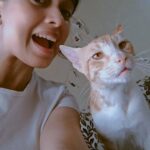 Megha Ray Instagram – Sometimes here, sometimes there and sometimes nowhere – that’s where I’ve been.

📚🌧️☕🐈🍁🎥🍜🍂🌕🫖🦋🍅🍿🤸🏻‍♀️

#simplethings #update #lifeisgood
