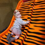 Meghan McCain Instagram - Happy 1st Birthday to our lucky fairy princess Clover! The most spectacular, sweet, soulful, poet baby who has brought endless joy to our life. I am so grateful I get to be your mother. 🍀 🧚 🎂🎂 💚