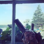 Meghan Ory Instagram - Happy belated anniversary @johnny_reardon_ 😂🙄 #thisismylifenow #tobyjugs