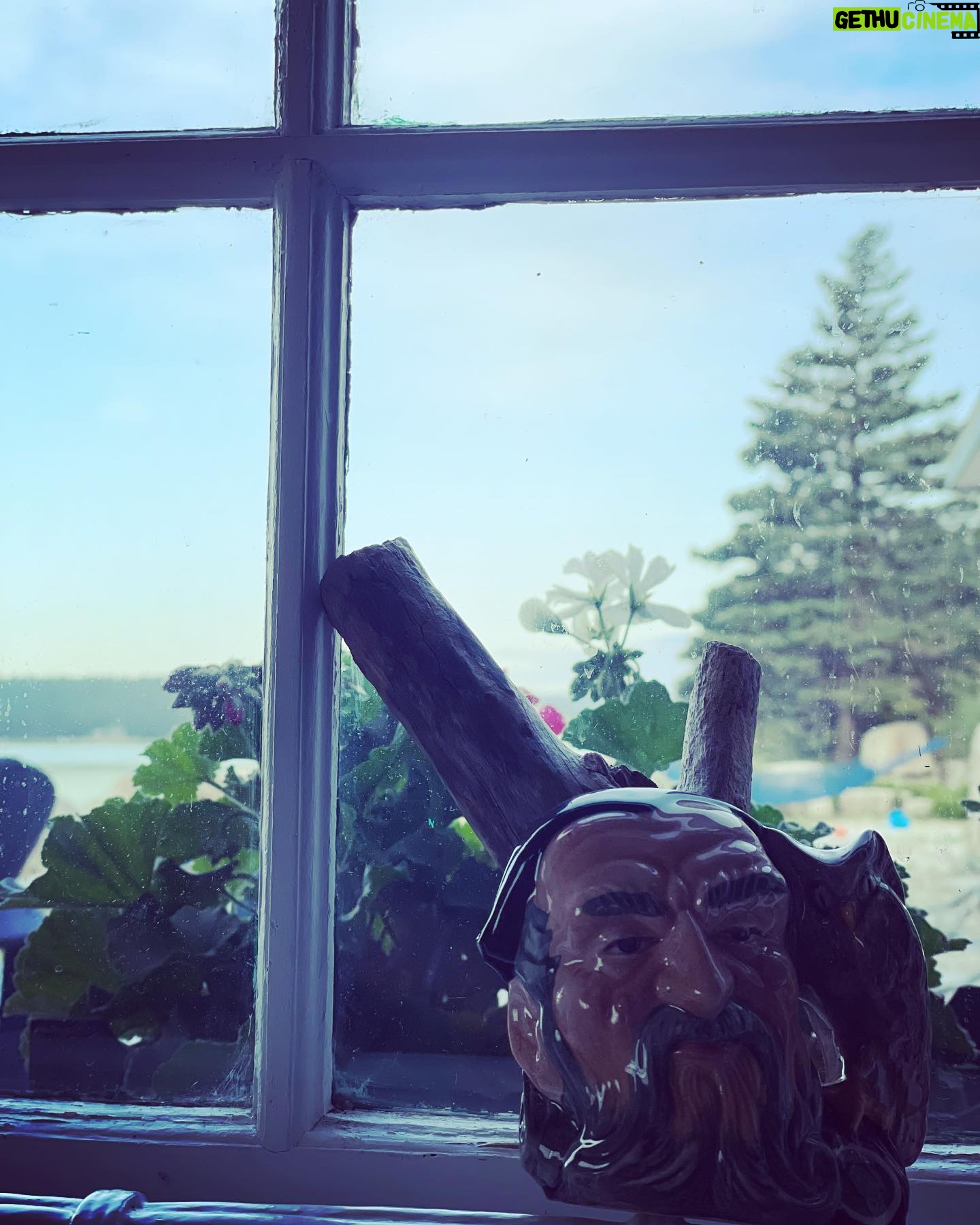 Meghan Ory Instagram - Happy belated anniversary @johnny_reardon_ 😂🙄 #thisismylifenow #tobyjugs