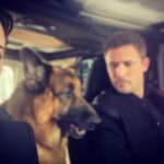 Meghan Ory Instagram – This is the only way I can track down my super busy hubby @johnny_reardon_ —job crash😂 Work wife #diesel and wife wife on #hudsonandrex @hudsonandrex