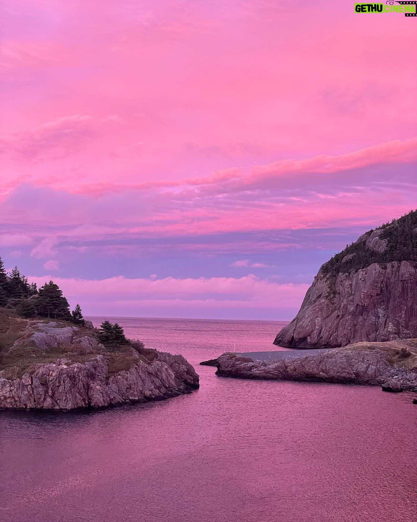 Meghan Ory - 11.2K Likes - No joke. No filter. #wow #newfoundland