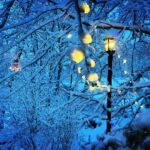 Meghan Ory Instagram - Morning #snowday