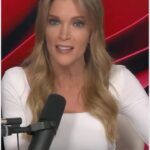 Megyn Kelly Instagram - “Disgusting liars”: @MegynKelly calls out NBC for literal “checkbook journalism” with Stormy Daniels. Subscribe and download the FULL show at the link in our bio. #megynkellyshow #news
