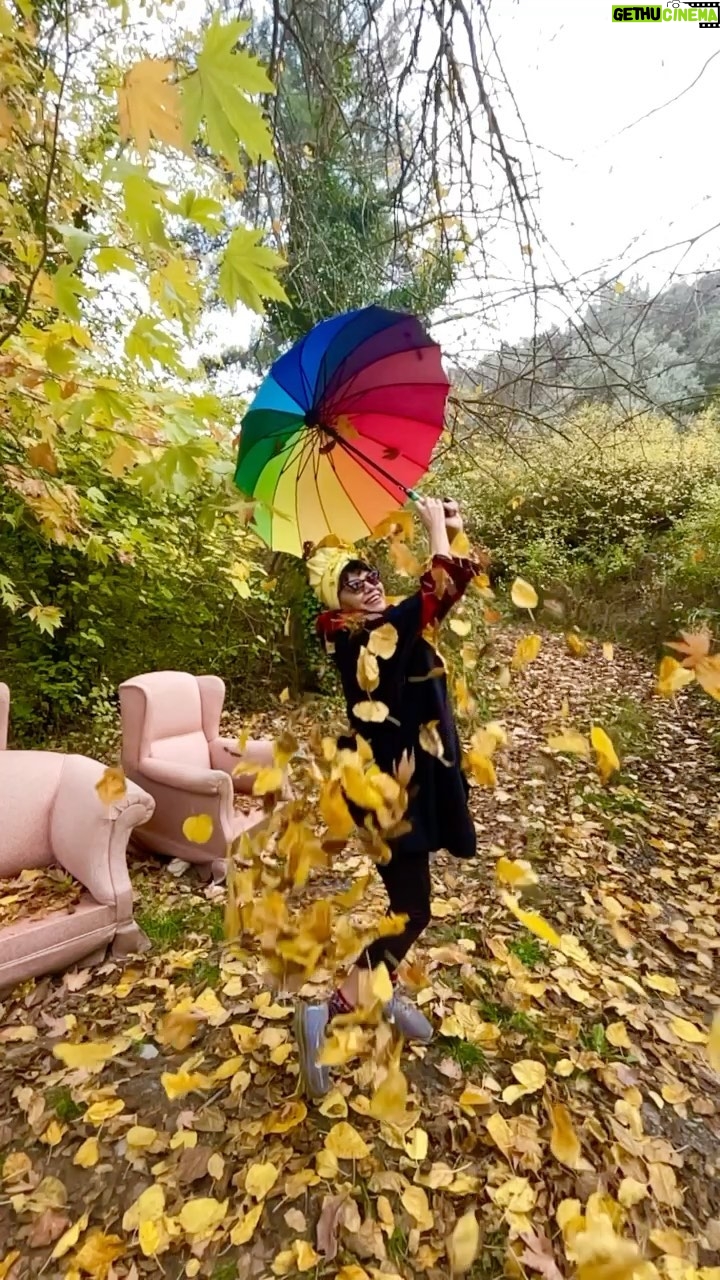 Mehtap Bayri - 2.3K Likes - Sonbahar 🍂 … video by @idiladiguzel_ teşekkür ederim ❤️