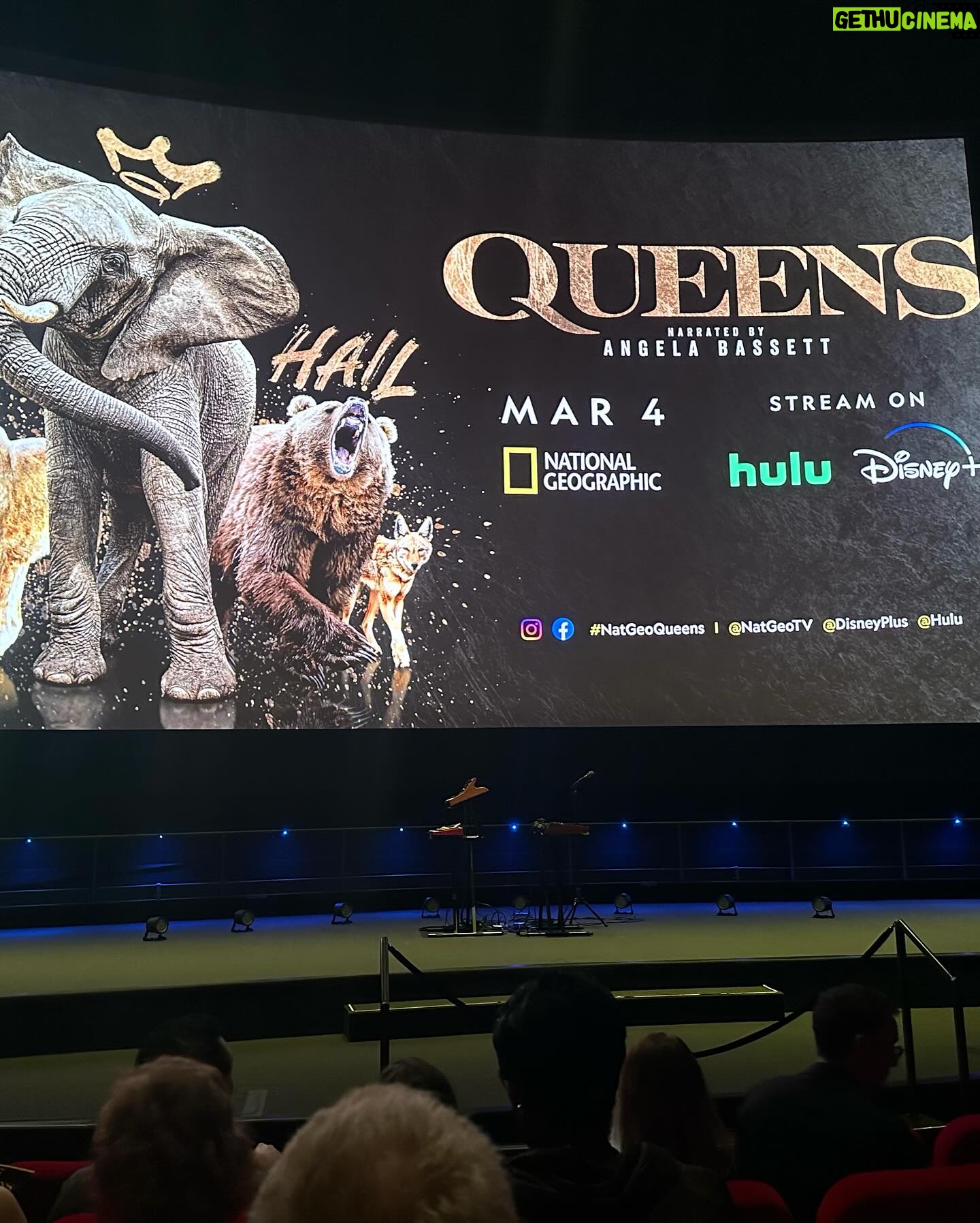 Mekia Cox Instagram - QUEENS!!! @natgeo A docuseries by Queens for Queens featuring some of the fiercest Queens in the Animal Queendom. π ππΎ β€οΈ Want to give a special shout out to @beaufille for this gorgeous outfit as well as thank my girl @ikonnie for always slayin some makeup also absolutely love @paulandrew (shoes), @alexisbittar (bangle), @medeasisters (handbag) and @simongjewelry (ring) #QUEENS #queensnatgeo