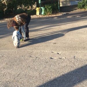 Mélanie Doutey Instagram - #ramasselescrottesdetonporc  #villepropre #parisjetaime