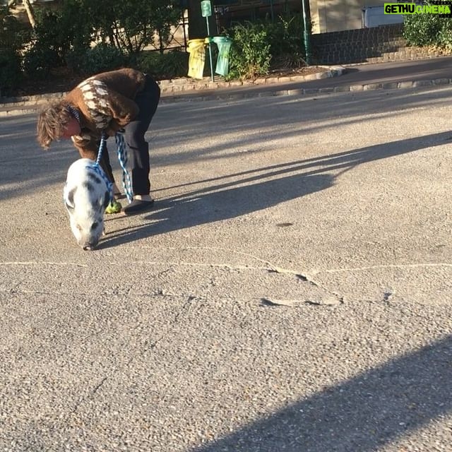 Mélanie Doutey - 1.1K Likes - #ramasselescrottesdetonporc #villepropre #parisjetaime