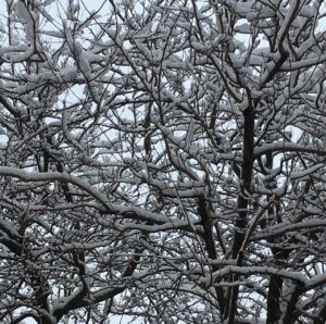 Mélanie Doutey Instagram - Pour aller d un point A à un point B à Paris sous la neige #beaumaiscompliqué #parisjetaime