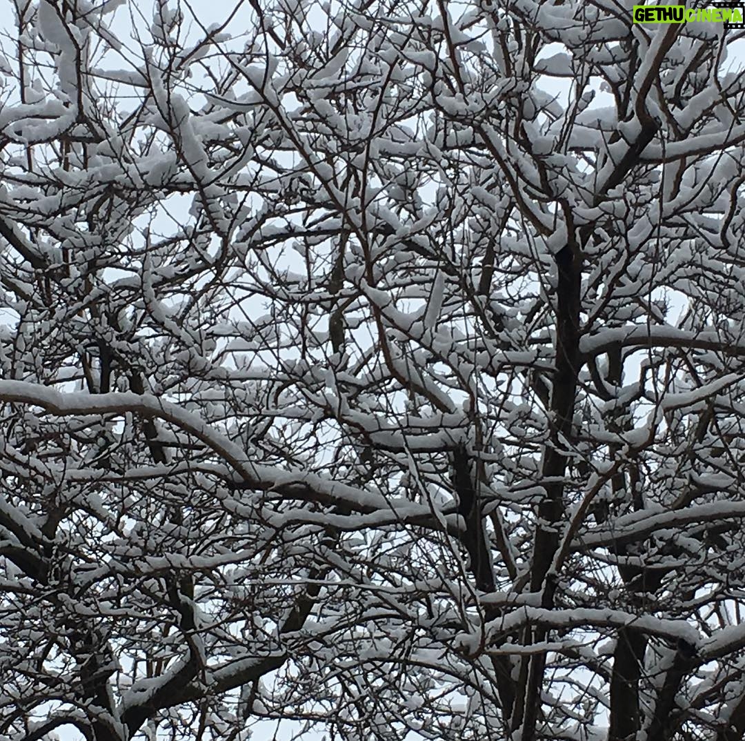 Mélanie Doutey - 1.9K Likes - Pour aller d un point A à un point B à Paris sous la neige #beaumaiscompliqué #parisjetaime