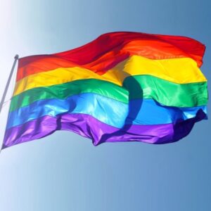 Mélanie Doutey Instagram - Walk for freedom #gaypride