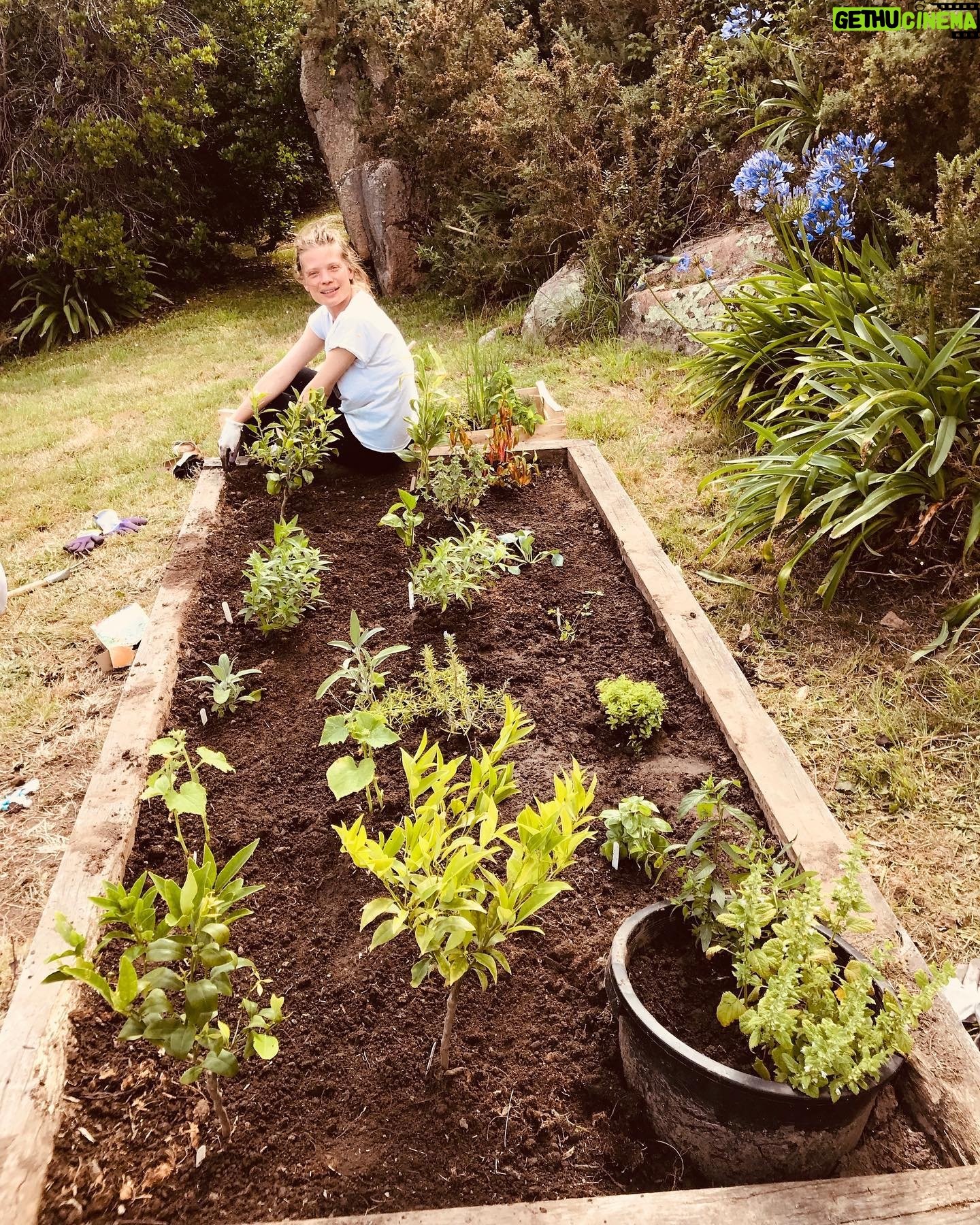 Mélanie Thierry - 4.5K Likes - Alors qu est ce que j ai bien planté ..