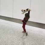 Melanie Lynskey Instagram - Here’s my child (and Meowy) rejoicing at the end of a cross country flight and a truly terrible travel day