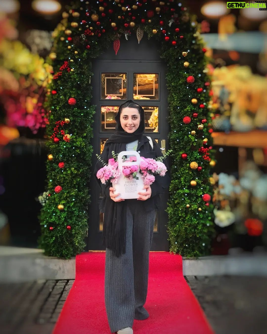 Melika Shaban - 6.5K Likes - Merry Christmas 🎁 🎄