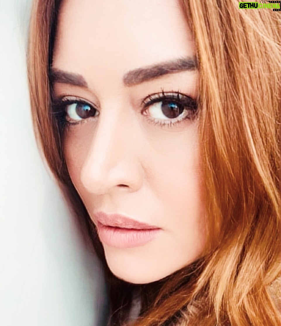 Melisa Doğu - 1.8K Likes - ✴️Aralığın ortasında bir yerlerde, kaybolmadan yolunu bulmaya çalışan, ocağın altını yakabilecek miyiz diye düşünen, tüm aklı karışıklara gelsin🙏🏻
Duvara yaslanıp dur/ma durağı 🚏🪞🌙