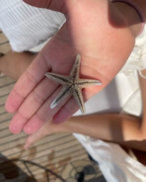 Melisa Sözen Instagram - 🌊🐚🌊