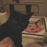 Melise Instagram - swipe to see a pizza bandit →