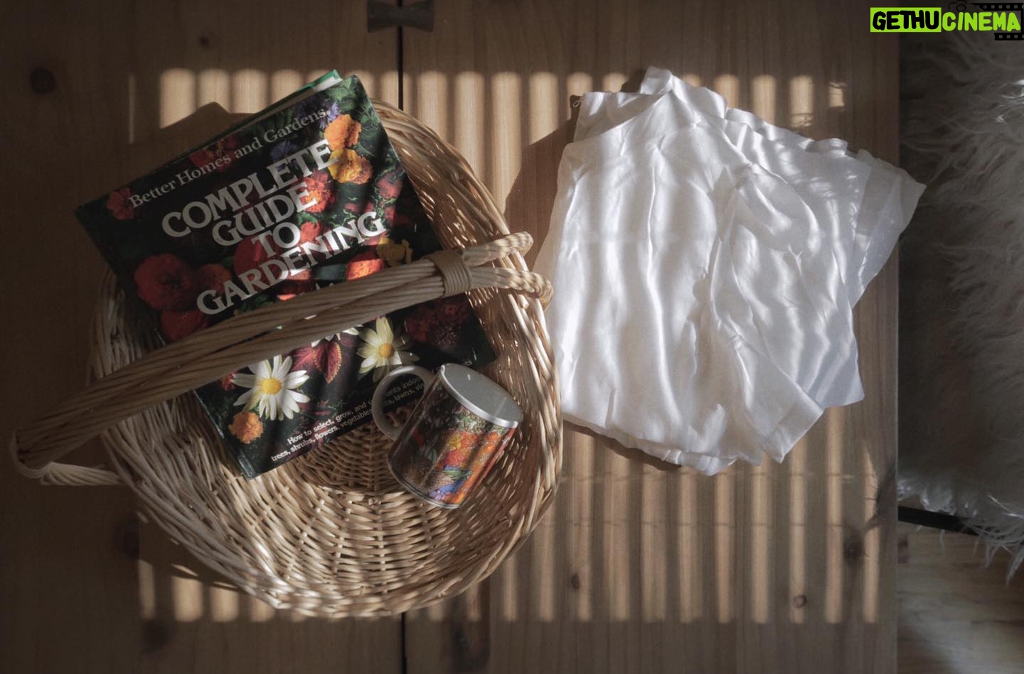 Melise Instagram - some thrifted treasures ^ - ^ • i finally found myself a gathering basket! • @betterhomesandgardens gardening book circa ‘79 • the cutest veg flora mug. zoom to peep the gathering basket in the mug design- gotta love an unintentional theme • a vintage white linen dress of my dreams