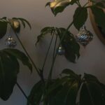 Melise Instagram - Extra ornaments? Adorn your plant babies 🪴