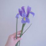 Melise Instagram - February’s flower