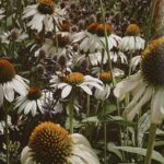 Melise Instagram - Warm summer light