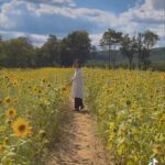 Melise Instagram - another happy place unlocked 🔓 #flowerfields #summertime