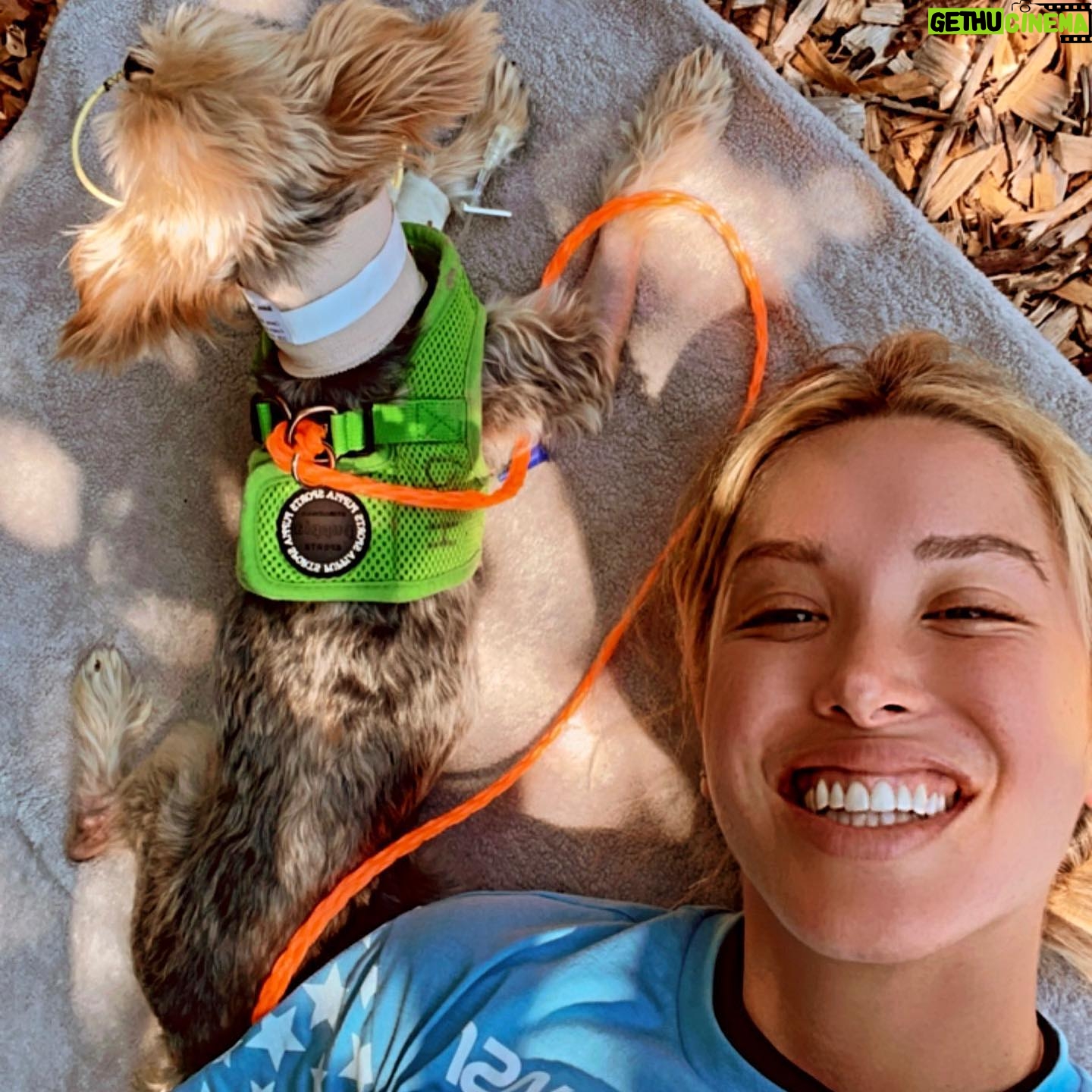 Melissa Bolona - 3.1K Likes - Dearest Bubba (Paco),
Happy National Dog Day to YOU. Today is the day you came home after 6 scary days in the hospital. Talk about irony. I’ve always known how incredibly sweet and tough you are. But wow, what a fighter. I am better to know you and to love you. I feel like the luckiest girl in the world that I have shared the past ten years with you and looking forward to another ten more. My brave, brave Bubba. I kept telling the doctors “you don’t understand, it’s sincerely not his time.” And of course “but no one on planet earth loves me like Bubba loves me!!!😭” and here we are. Back home in recovery mode back to our routine. Love you to the moon and back, my best friend.
