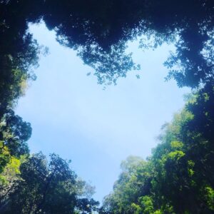 Melissa Tkautz Instagram - ❤️ Thailand
Holidays really do make you slow down and appreciate ... looked up on today’s excursion and saw this. Had to snap a photo xx