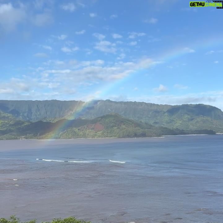 Melissa King - 5.9K Likes - Goodbye Mainland 🩷🩷
A big thank you to @1hotel.hanaleibay and the amazing experience so far on Kauai! I’ve been exploring, getting my daily fixes of poke, drinking all the fresh pressed juices, gathering produce from the rooftop garden, and taking in the views. I’ll be doing a cooking demo later today and a charity dinner tomorrow supporting the Kauai community college culinary arts program. We still have a few spots open for the local community and hotel guests to join! Will share more of my trip soon or catch my stories!