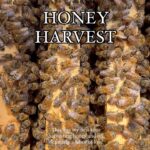 Melissa King Instagram - Taking care of the Bee Bees. 🐝🍯 Thank you to my dear friend @hoffman_designs for letting me tag along in the harvest of her backyard bee hive. Bees are such fascinating little creatures! It was a special experience to get that close and learn the intricacies of how these bees work together to survive. The harvest itself was a good amount of work but incredibly rewarding. Thank you to these little bees for letting us harvest around 25 pounds of your honey. Every part from the honey to the comb will be utilized entirely! I highly recommend getting a bee hive in your yard if you can to support these little pollinators 🐝🍯🌸✨#honey