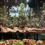 Melissa King Instagram - Tis the season. I put together a holiday spread for my friends at @propagationsf for their Big Gay Holiday Ball. I trickled in pocky sticks, Japanese rice crackers, Sichuan peanuts, all the Asian snacks! Propagation goes all in with their holiday decor each year and bring the vibes. It’s a cozy spot with great drinks, I hope you have a chance to visit this cute neighborhood bar next time you’re in SF. Did I mention they’re a queer/asian/women owned bar? 🙌🏽 All are welcomed!
