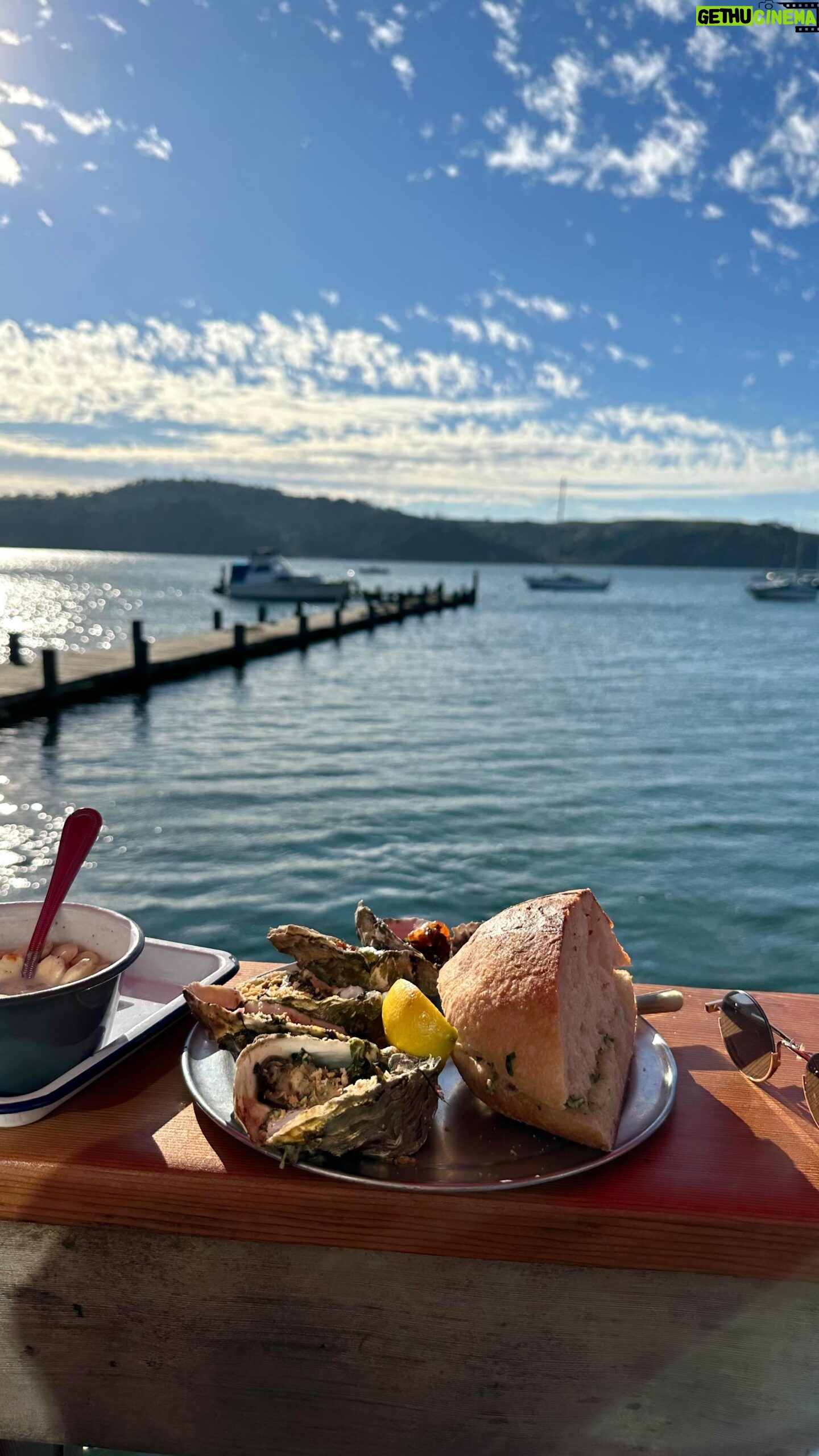 Melissa King Instagram - Sometimes you need to take care of you too. 🥰 I woke up, jumped in the car and just started driving. I ended up taking myself on a cute date to my favorite little gems just up the coast about an hour north of San Francisco. I went through a few genres of old music and sang along while driving through the woods. It was a little reminder of why California holds such a special place in my heart. 🌲🌊☀️ I hope you take time to slow down, self care, and enjoy the scenery. Sending you all love this holiday season 💕 @the.marshall.store 🦪🌊 @heidrunmeadery 🍯🐝 🎶: @angusandjuliastone - Chateau