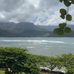 Melissa King Instagram - Goodbye Mainland 🩷🩷 A big thank you to @1hotel.hanaleibay and the amazing experience so far on Kauai! I’ve been exploring, getting my daily fixes of poke, drinking all the fresh pressed juices, gathering produce from the rooftop garden, and taking in the views. I’ll be doing a cooking demo later today and a charity dinner tomorrow supporting the Kauai community college culinary arts program. We still have a few spots open for the local community and hotel guests to join! Will share more of my trip soon or catch my stories!
