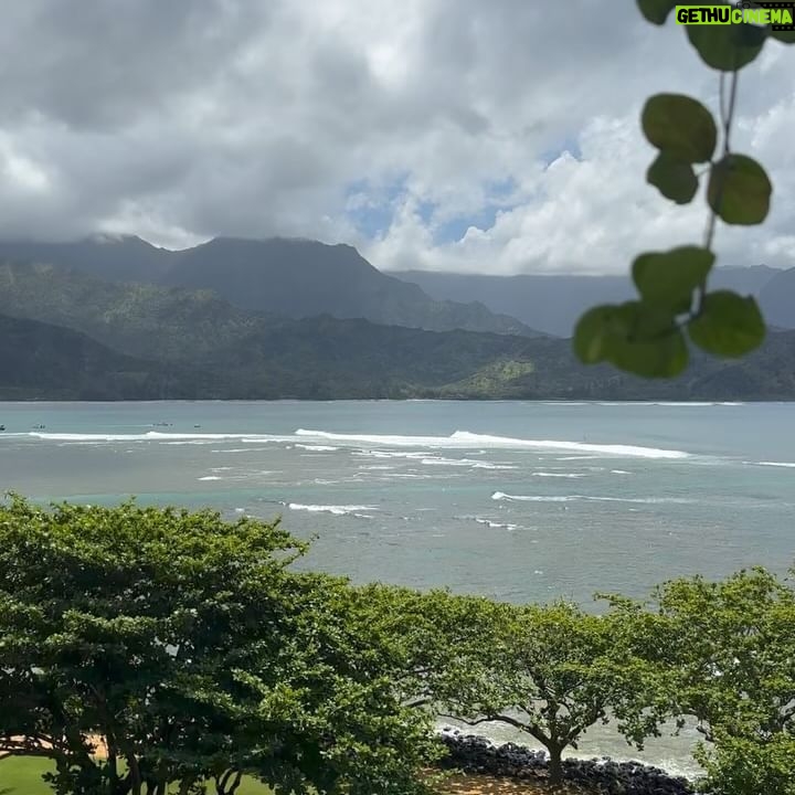 Melissa King - 5.9K Likes - Goodbye Mainland 🩷🩷
A big thank you to @1hotel.hanaleibay and the amazing experience so far on Kauai! I’ve been exploring, getting my daily fixes of poke, drinking all the fresh pressed juices, gathering produce from the rooftop garden, and taking in the views. I’ll be doing a cooking demo later today and a charity dinner tomorrow supporting the Kauai community college culinary arts program. We still have a few spots open for the local community and hotel guests to join! Will share more of my trip soon or catch my stories!