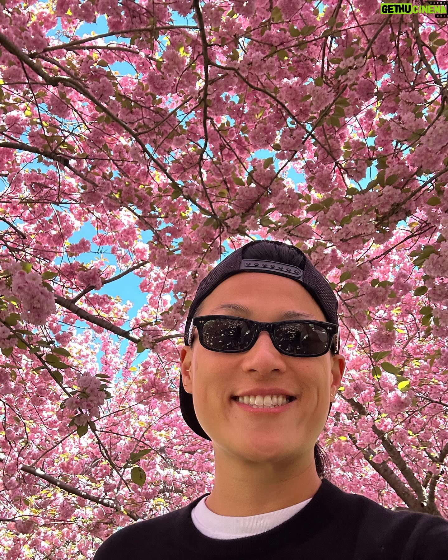 Melissa King - 8.2K Likes - April blooms with Uncle Mel 🌸🌸🌸