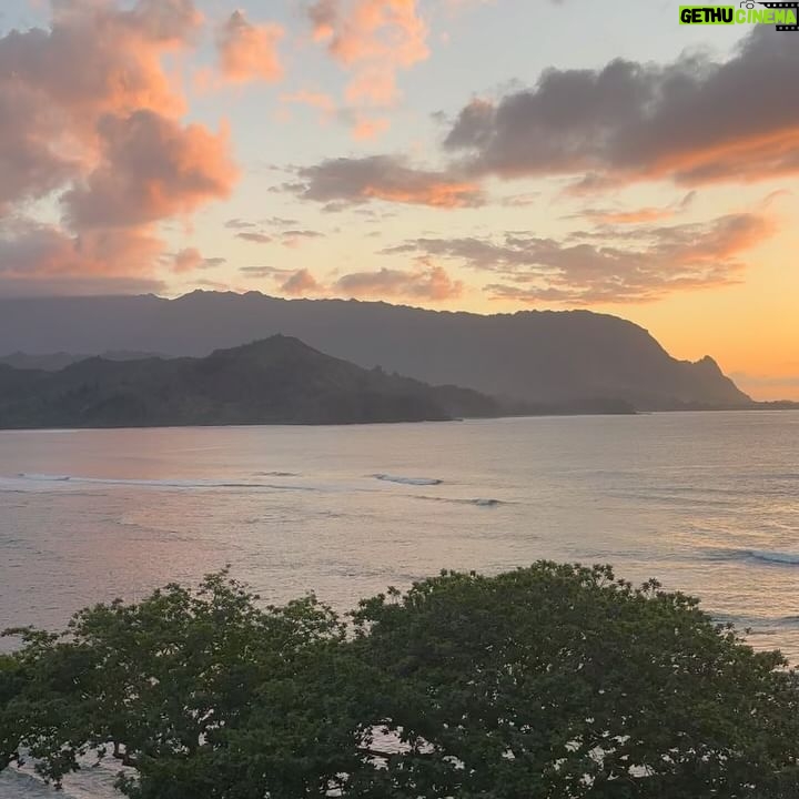 Melissa King - 5.9K Likes - Goodbye Mainland 🩷🩷
A big thank you to @1hotel.hanaleibay and the amazing experience so far on Kauai! I’ve been exploring, getting my daily fixes of poke, drinking all the fresh pressed juices, gathering produce from the rooftop garden, and taking in the views. I’ll be doing a cooking demo later today and a charity dinner tomorrow supporting the Kauai community college culinary arts program. We still have a few spots open for the local community and hotel guests to join! Will share more of my trip soon or catch my stories!