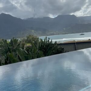 Melissa King Instagram - Goodbye Mainland 🩷🩷 A big thank you to @1hotel.hanaleibay and the amazing experience so far on Kauai! I’ve been exploring, getting my daily fixes of poke, drinking all the fresh pressed juices, gathering produce from the rooftop garden, and taking in the views. I’ll be doing a cooking demo later today and a charity dinner tomorrow supporting the Kauai community college culinary arts program. We still have a few spots open for the local community and hotel guests to join! Will share more of my trip soon or catch my stories!