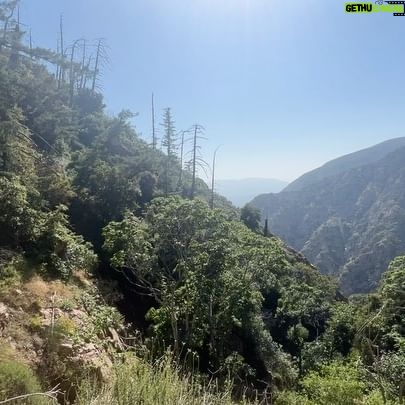 Melissa O'Neil Instagram - I am so wiped from today’s hike. The San Gabriel Mountains are so beautiful and the canyon streams are flowing, abundant, and *crisp*. Perfect to strip down and get into for that much needed mid-haul reset. Some Dudleyas for you. Phewph. G’night. Hashtag/getoutsideandgetnaked.