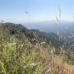 Melissa O'Neil Instagram - I am so wiped from today’s hike. The San Gabriel Mountains are so beautiful and the canyon streams are flowing, abundant, and *crisp*. Perfect to strip down and get into for that much needed mid-haul reset. Some Dudleyas for you. Phewph. G’night. Hashtag/getoutsideandgetnaked.